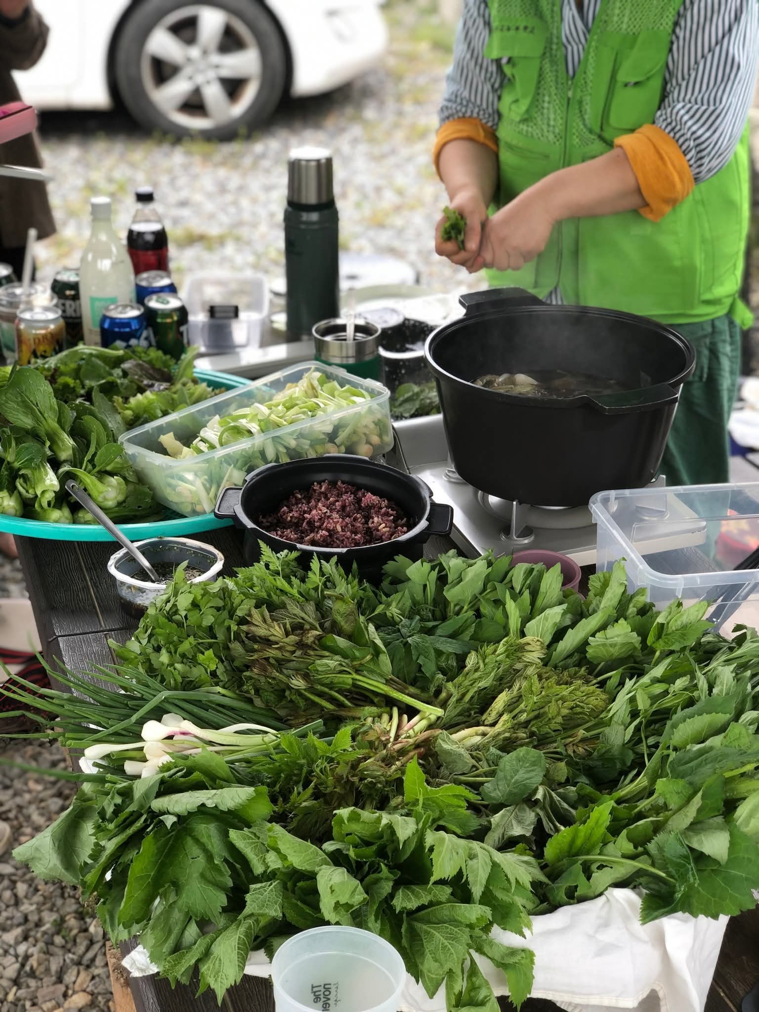 밭에서 차린 봄나물 만찬